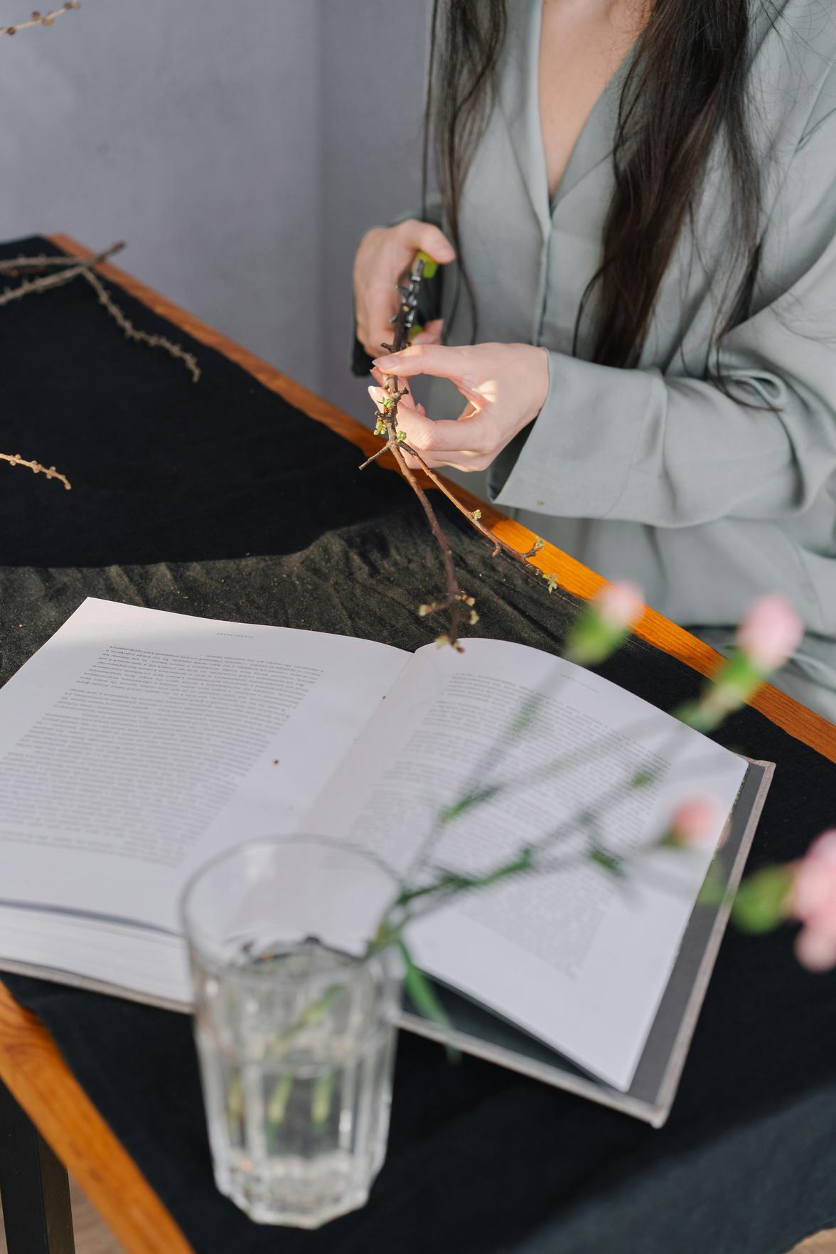 Estratégias Eficientes para Estudar Tranquilo e Passar em Concursos