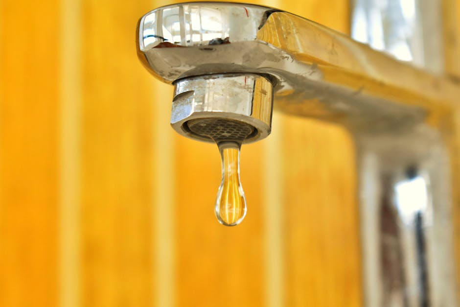 Como Economizar Água: Guia Completo + Caça Vazamentos Ipiranga