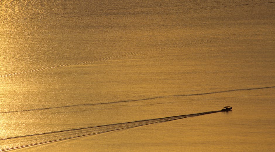 Guia Completo: Habilitação para Arrais Amador em Roraima